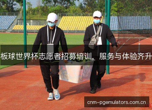 板球世界杯志愿者招募培训，服务与体验齐升